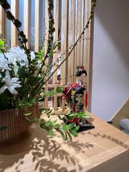 -一本X目奈子日式单根美睫专业店