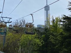 -富斯特索道