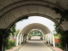 -紫颐香薰山谷景区