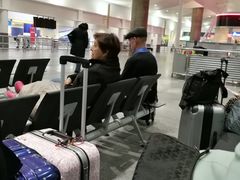 -约翰·菲茨杰拉德·肯尼迪国际机场