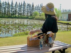 -上海长兴岛郊野公园