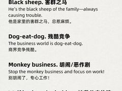 -I-Shine英语国际教育(御桥张江中心)