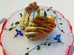 -上海总会SHANGHAICLUB(兴业太古汇店)