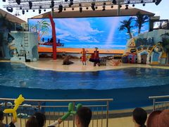 -三亚海昌梦幻海洋不夜城