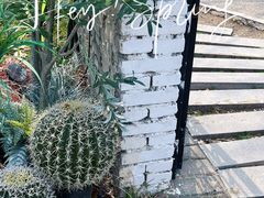 -Supine Bistro溯泮餐厅