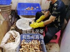 -银记土茯苓