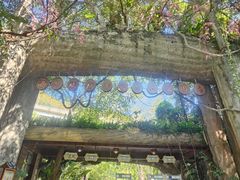 -西双版纳原始森林公园