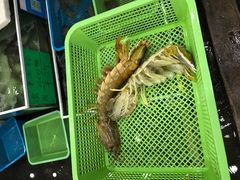 -拉威海鲜市场
