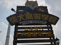 门头-柴犬高等学院·狗咖·柴犬售卖·宠物训练