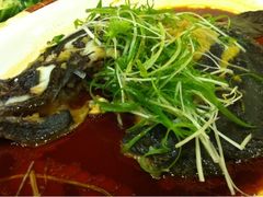 多寶魚-南海食街(佛冈店)