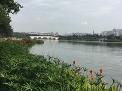 -眉山湿地公园(东坡区)