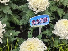 -汇龙潭