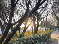 -南翔镇银翔湖公园