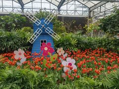 -南宫五洲植物乐园