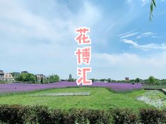 -花博汇(知音花月夜)