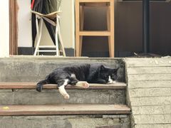 -LOOKA COFFEE(大鹏所城店)