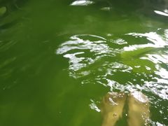 -嘉和K6温泉微度假