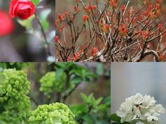 -云里小坐·小院里·团建·宴请·下午茶(三圣乡店)