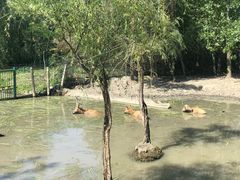 -溱湖国家湿地公园