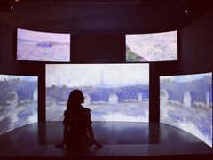 -印象莫奈时光映迹艺术展