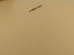 -福建鲤鱼洲酒店