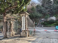 -紫金山山顶公园