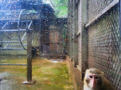 -广东茂名森林公园