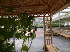 -兰陵国家农业公园