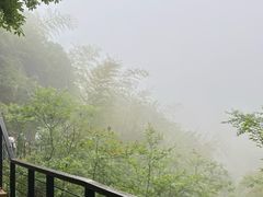 -莫干山风景区
