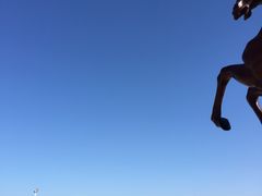 -碧海金沙