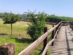 -西青郊野公园