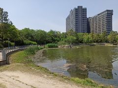 -美兰湖景区