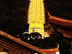 -深圳仙湖植物园