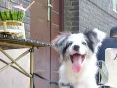 -大象厨房(重庆道店)