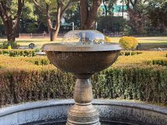-上海瑞金洲际酒店