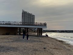 -长兴岛海滨公园
