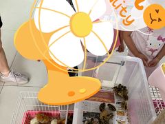 -三旗百汇商品城