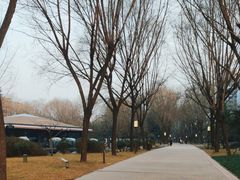 -唐城墙遗址公园