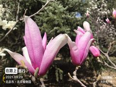 -国家植物园