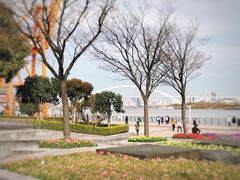 -栖露营camping·天幕烧烤·团建拓展·采摘营地