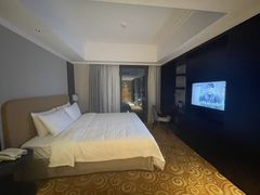 -佛山岭南天地康得思酒店