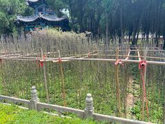 -汤阴县羑里周易博物馆