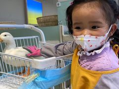 -怪兽屋·羊驼·猫咖·狗咖(俊华广场店)