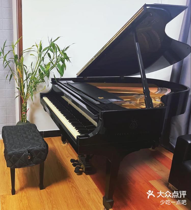 别墅中的音乐宝藏