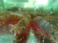 -国际金钻海鲜餐厅