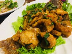 -荷花泰菜(东方新天地店)