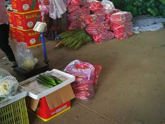 -西北农副产品中心批发市场(广安路店)