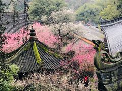 -天台山赤城山景区
