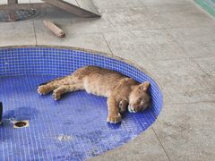 -秦皇岛野生动物园