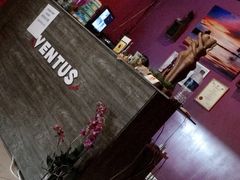 -ventus spa 沙巴亚庇正宗精油按摩会所